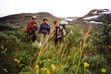Jotunheimen -01