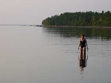 Skridskobild